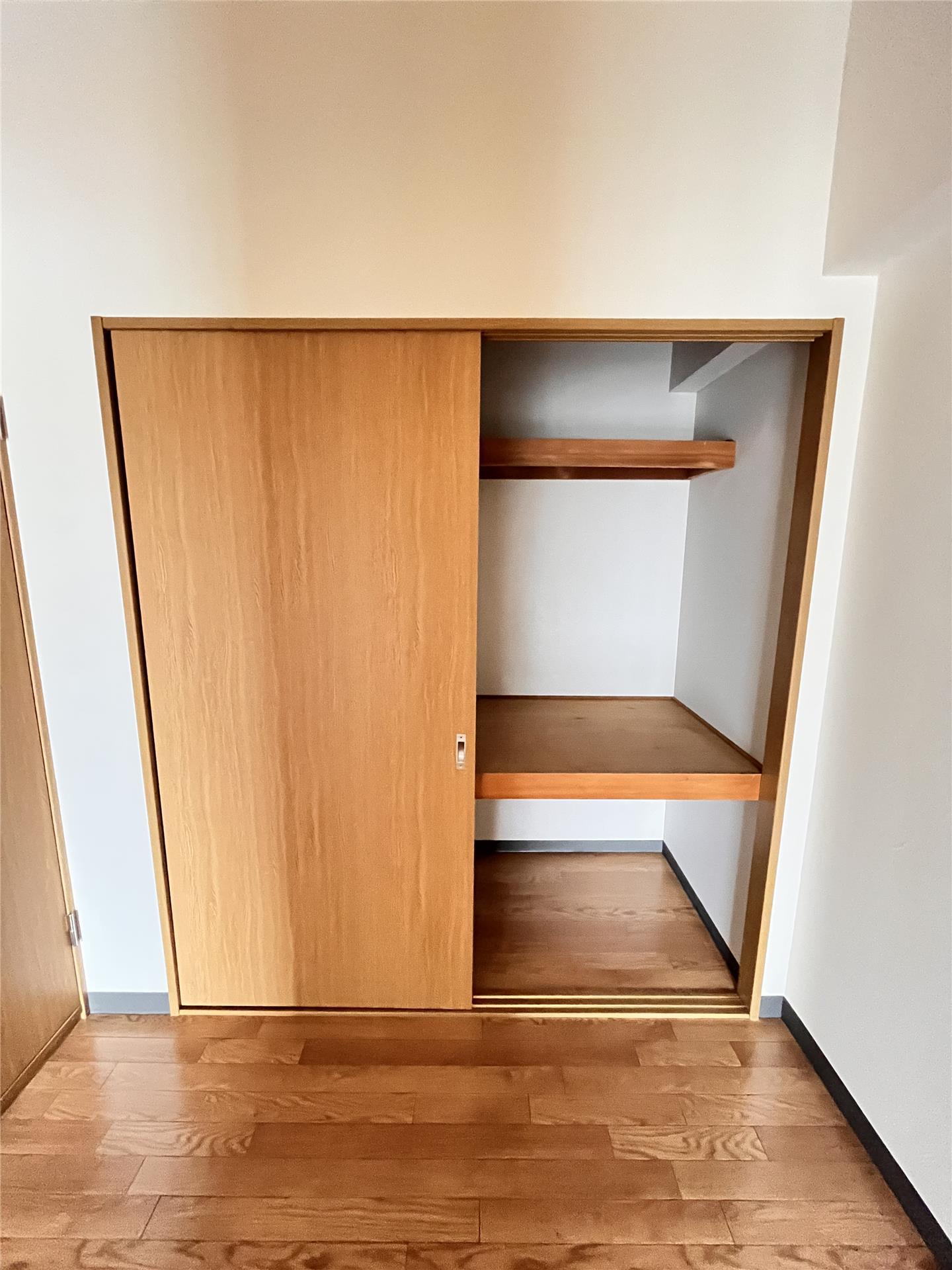 収納　写真は別部屋です。