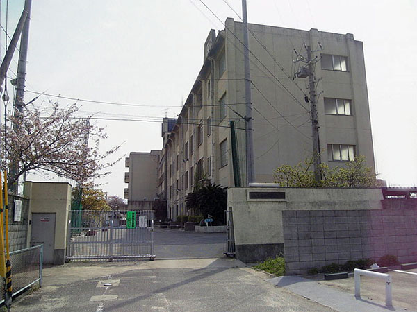 中学校　八尾市立亀井中学校（中学校）まで1205m
