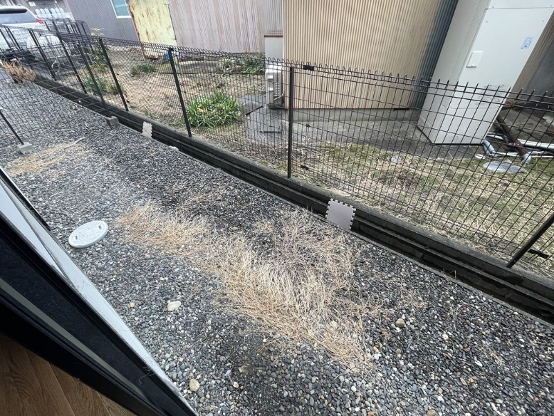 庭