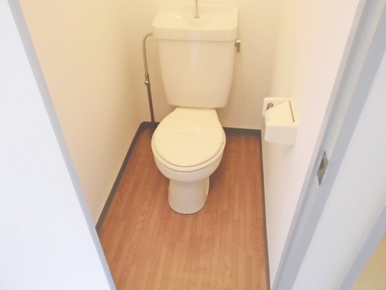 トイレ　※別部屋の写真です