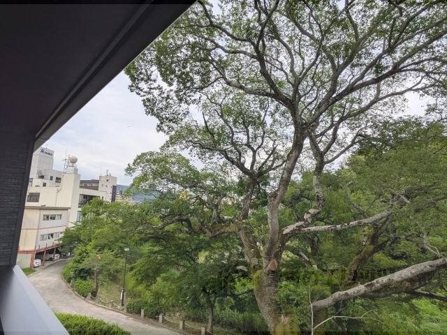 眺望