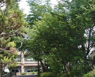 中学校　練馬区立開進第三中学校（中学校）まで600m
