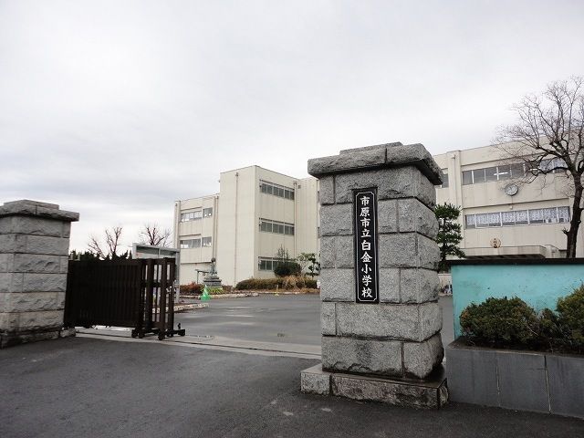 小学校　市原市立白金小学校（小学校）まで400m