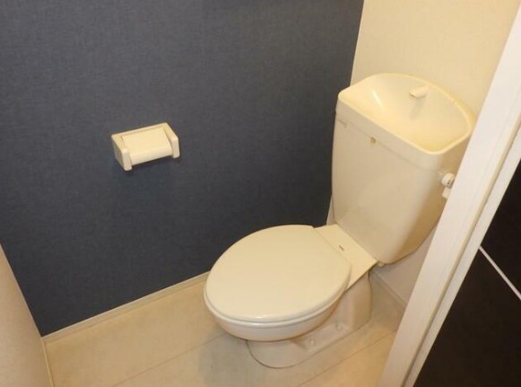 ヴィラダイキのトイレ写真