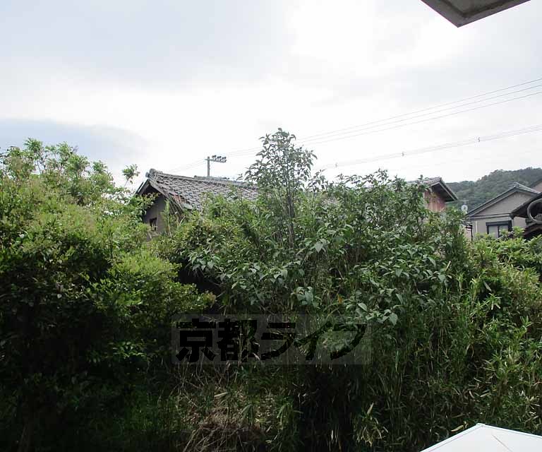 ミニヨンフィオーレのその他写真