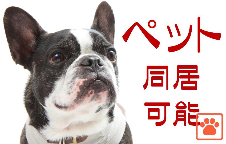 サンバレーのその他写真