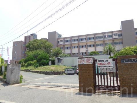 中学校　大野城市立大野東中学校（中学校）まで1232m