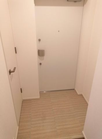 玄関　別号室参考写真 （フローリング　偶数階：ブラウン　奇数階：ホ