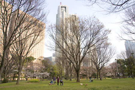 【フロンティア新宿タワーの公園】