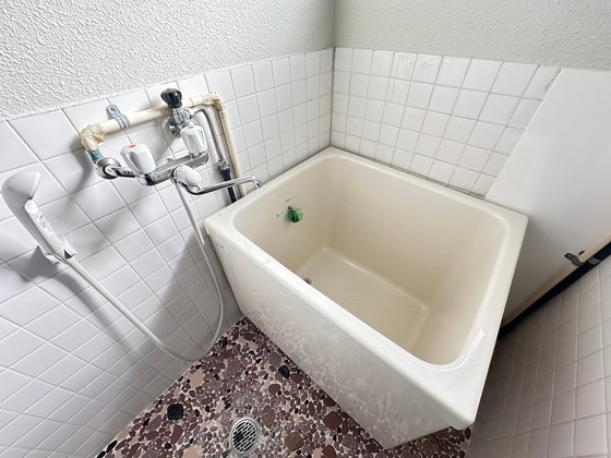 バス・シャワールーム　※別部屋の写真です