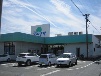 ドラックストア　ドラッグスギヤマ三河一宮店（ドラッグストア）まで350m
