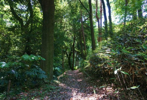 その他　かしの木山自然公園（その他）まで1539m