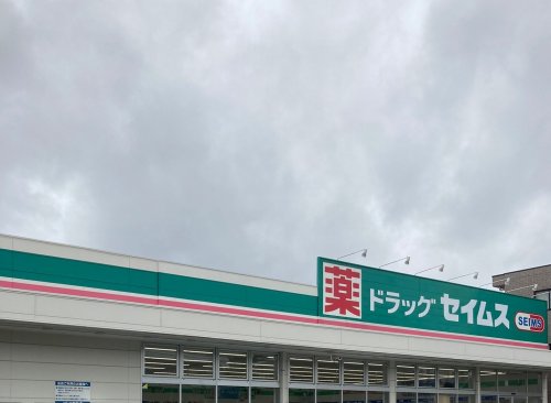 ドラックストア　ドラッグセイムス浦和辻店（ドラッグストア）まで482m