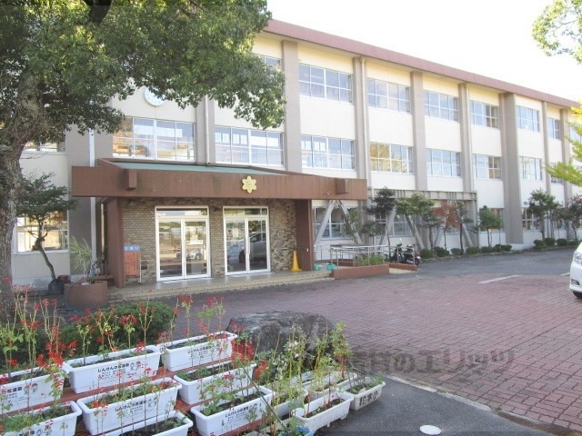 小学校　柏木小学校（小学校）まで1100m