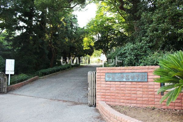 大学・短大　千葉大学松戸キャンパス（大学・短大）まで454m