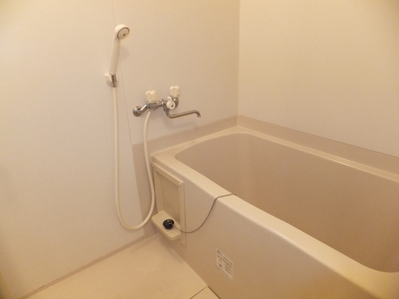 バス・シャワールーム　※別部屋の写真です