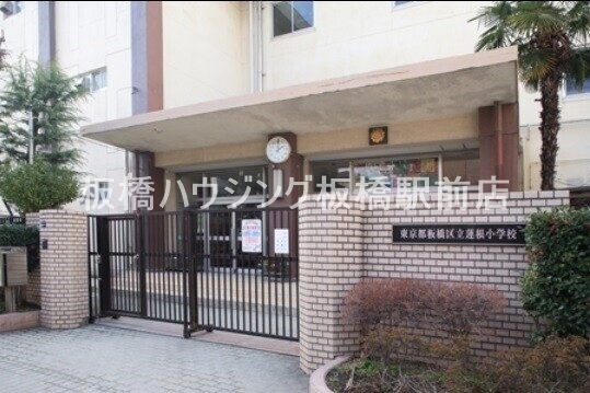 小学校　板橋区立蓮根小学校（小学校）まで444m