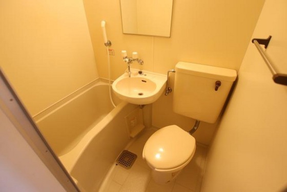 トイレ　※別号室の写真です。