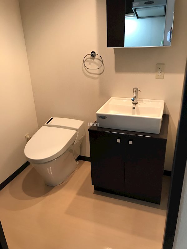 洗面設備　※同タイプの他のお部屋です