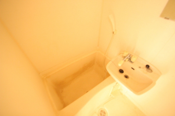 バス・シャワールーム　※別部屋の写真です