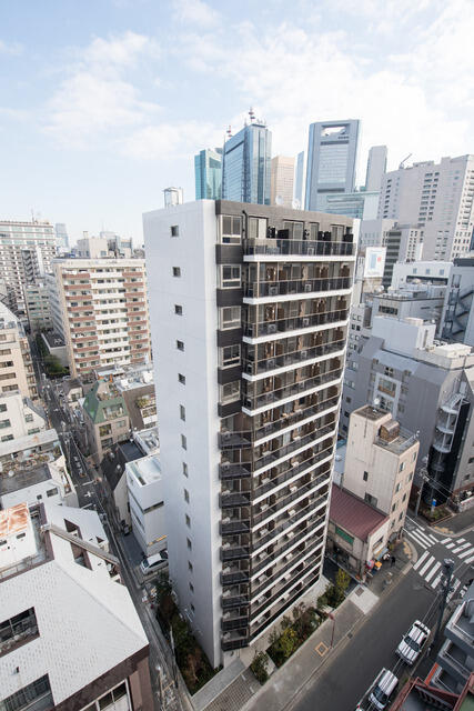 その他　2016年1月撮影