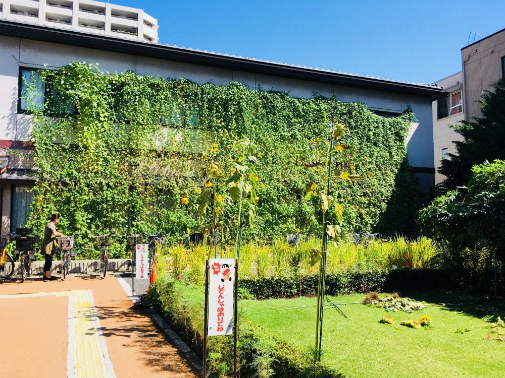 図書館　文京区立千石図書館（図書館）まで91m