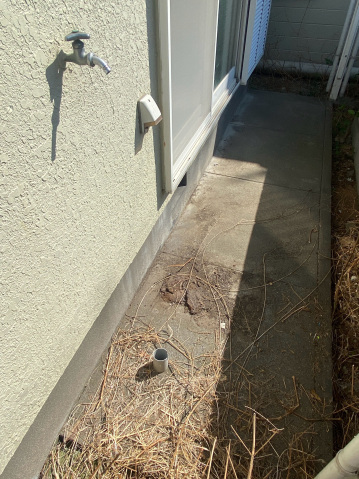 洗面設備　洗濯機置場