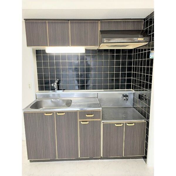 キッチン　※写真は別号室です。