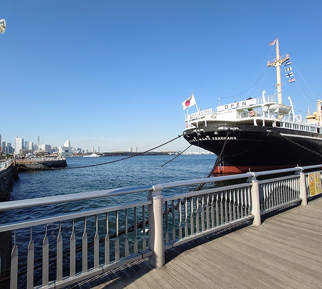 公園　山下公園（公園）まで1237m