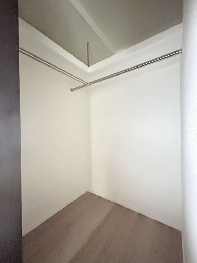 収納　ウォークインクローゼット