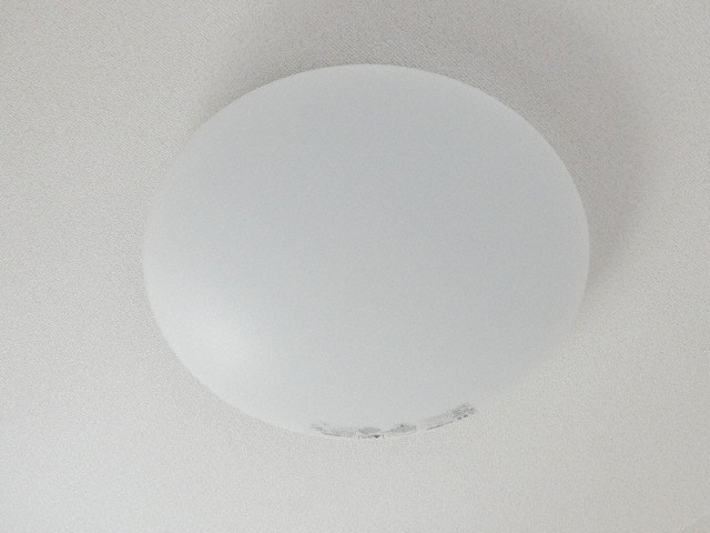 その他　その他