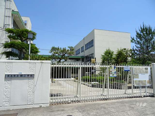 小学校　茨木市立郡小学校（小学校）まで775m