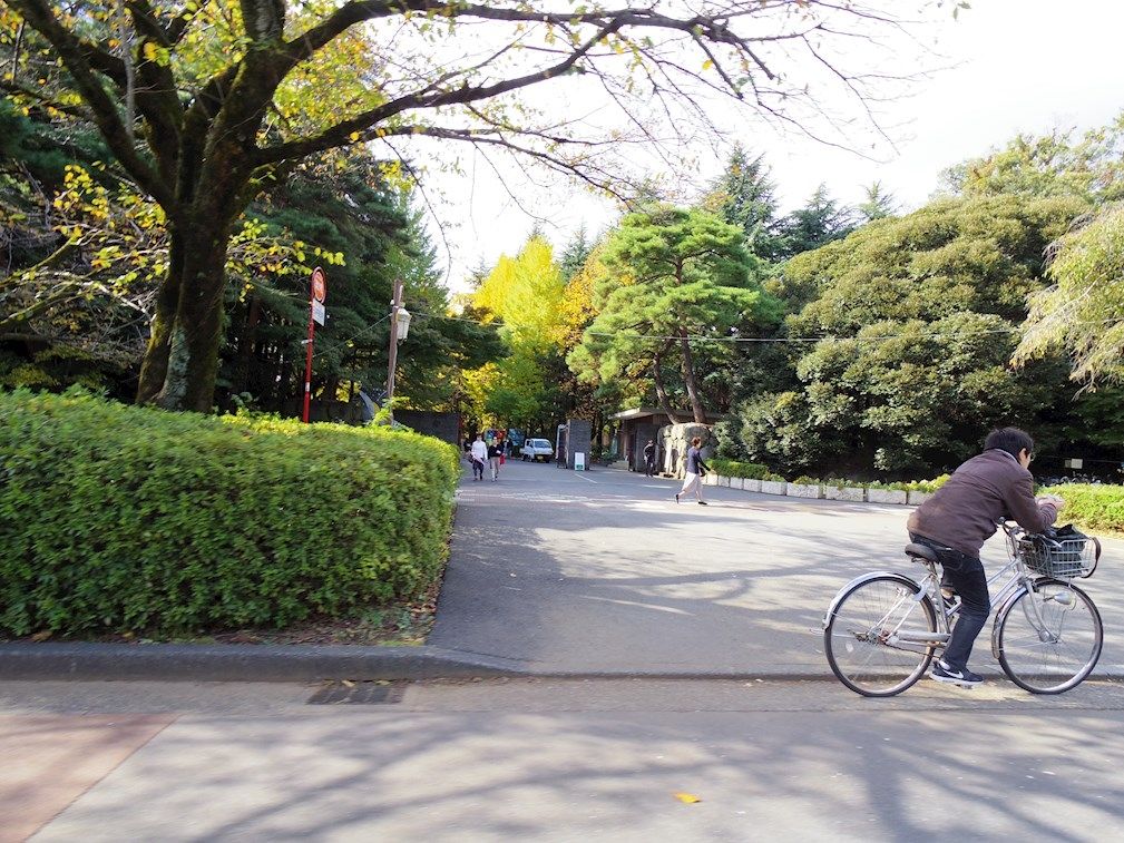 その他　国立一橋大学（その他）まで2091m