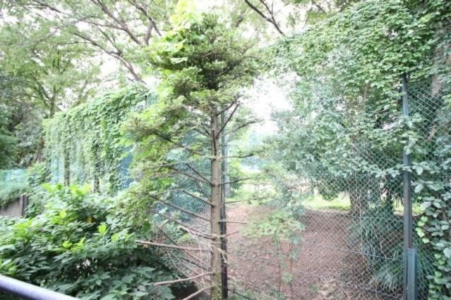眺望　（別タイプ参考写真）コートブリーズ根津　文京区根津1