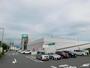 ホームセンター　ニトリ富士店（ホームセンター）まで956m