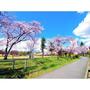公園　運動公園南緑地（公園）まで513m