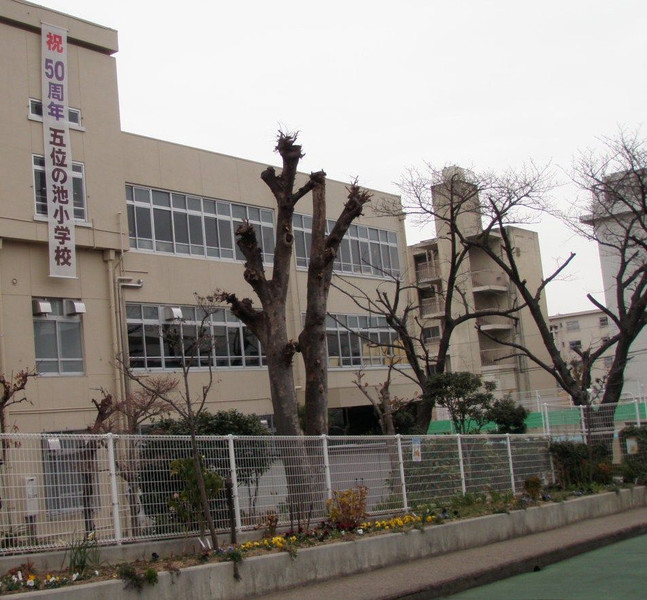 小学校　五位の池小学校（小学校）まで631m