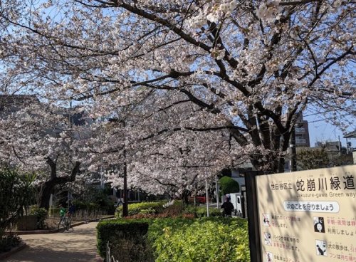 公園　蛇崩川緑道（公園）まで133m