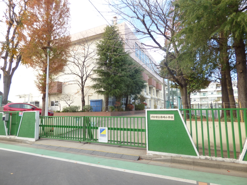 小学校　川口市立柳崎小学校（小学校）まで342m