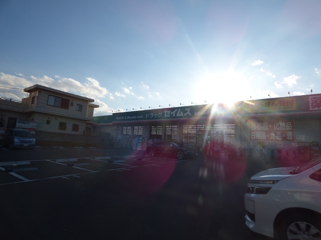 ドラックストア　ドラッグセイムス 東浦和薬局（ドラッグストア）まで744m