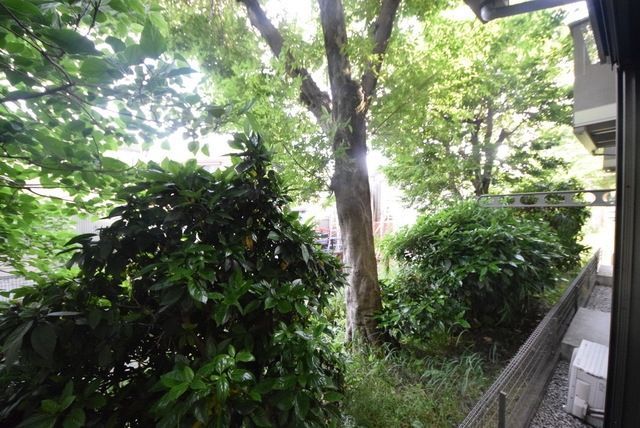 眺望　景色