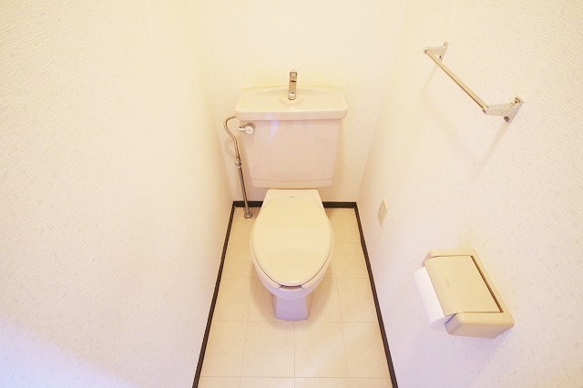 トイレ　～別号室の写真使用中～