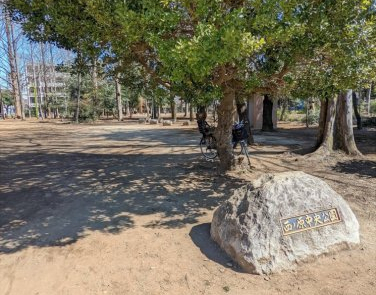 公園　西ノ原中央公園（公園）まで1180m