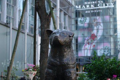 その他　ハチ公前広場（渋谷）（その他）まで1380m