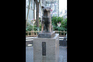 その他　ハチ公前広場（渋谷）（その他）まで1380m