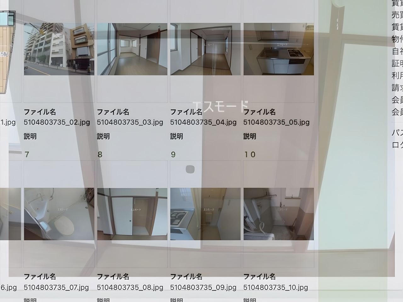 庭