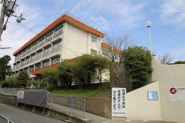 小学校　豊中市立小学校緑地小学校（小学校）まで4071m