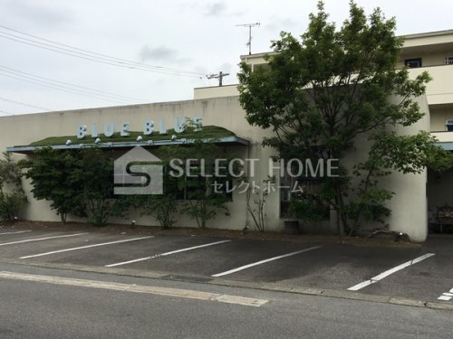 飲食店　株式会社BLUE・BLUE（飲食店）まで86m