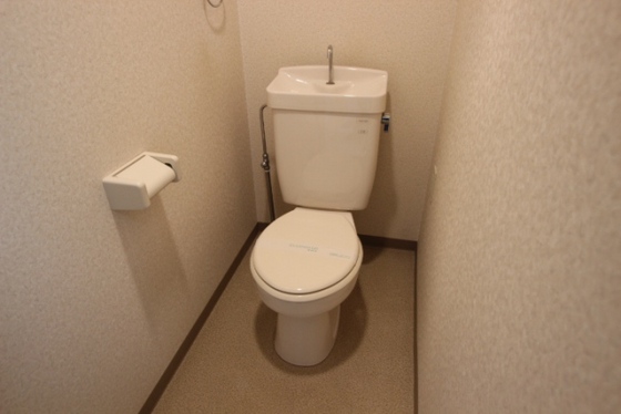 トイレ　※別号室の写真です。