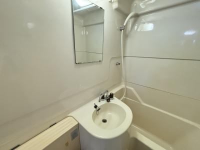 洗面設備　ミラー、シャワー付きバス。